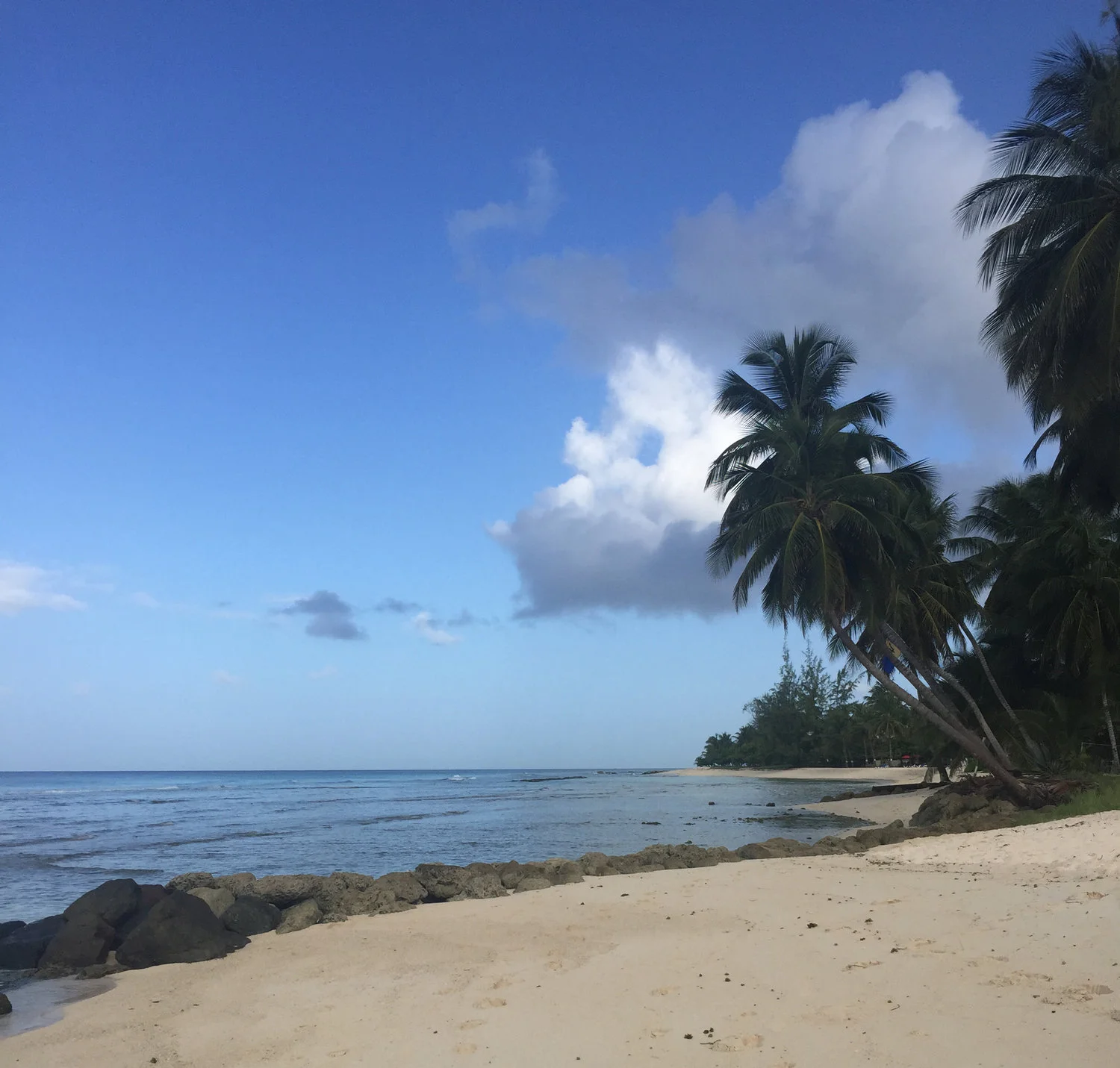 Trip to the Caribbean