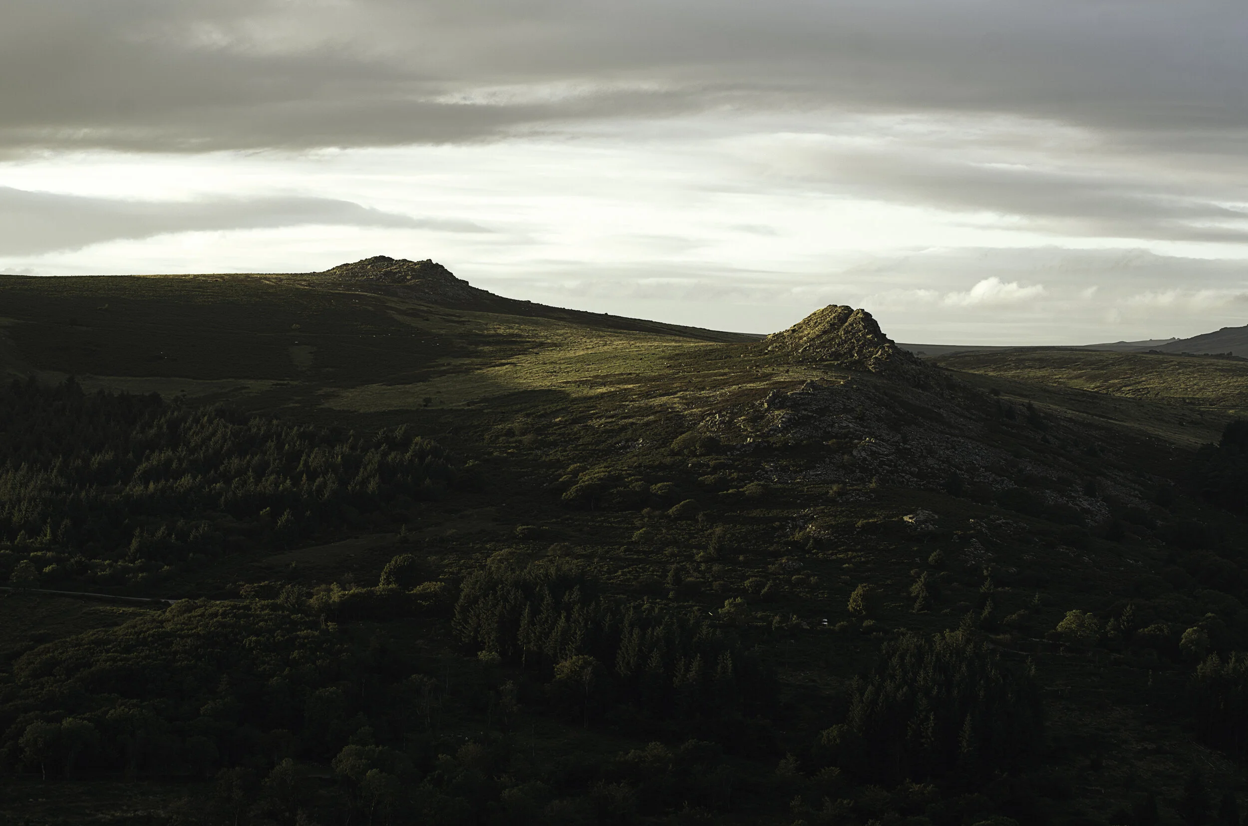 A love letter to Dartmoor 