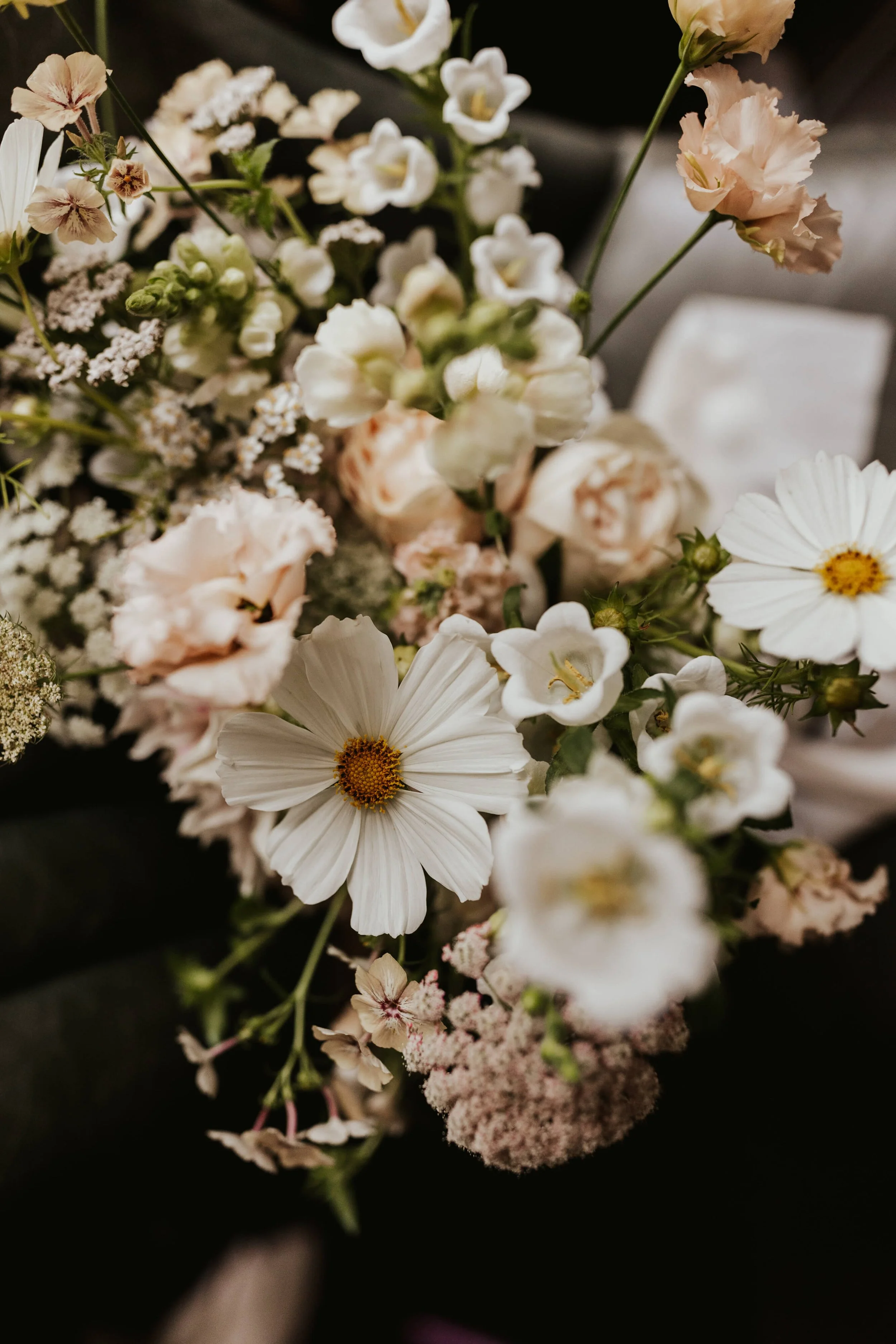 Lloyd and Meg-72.jpg