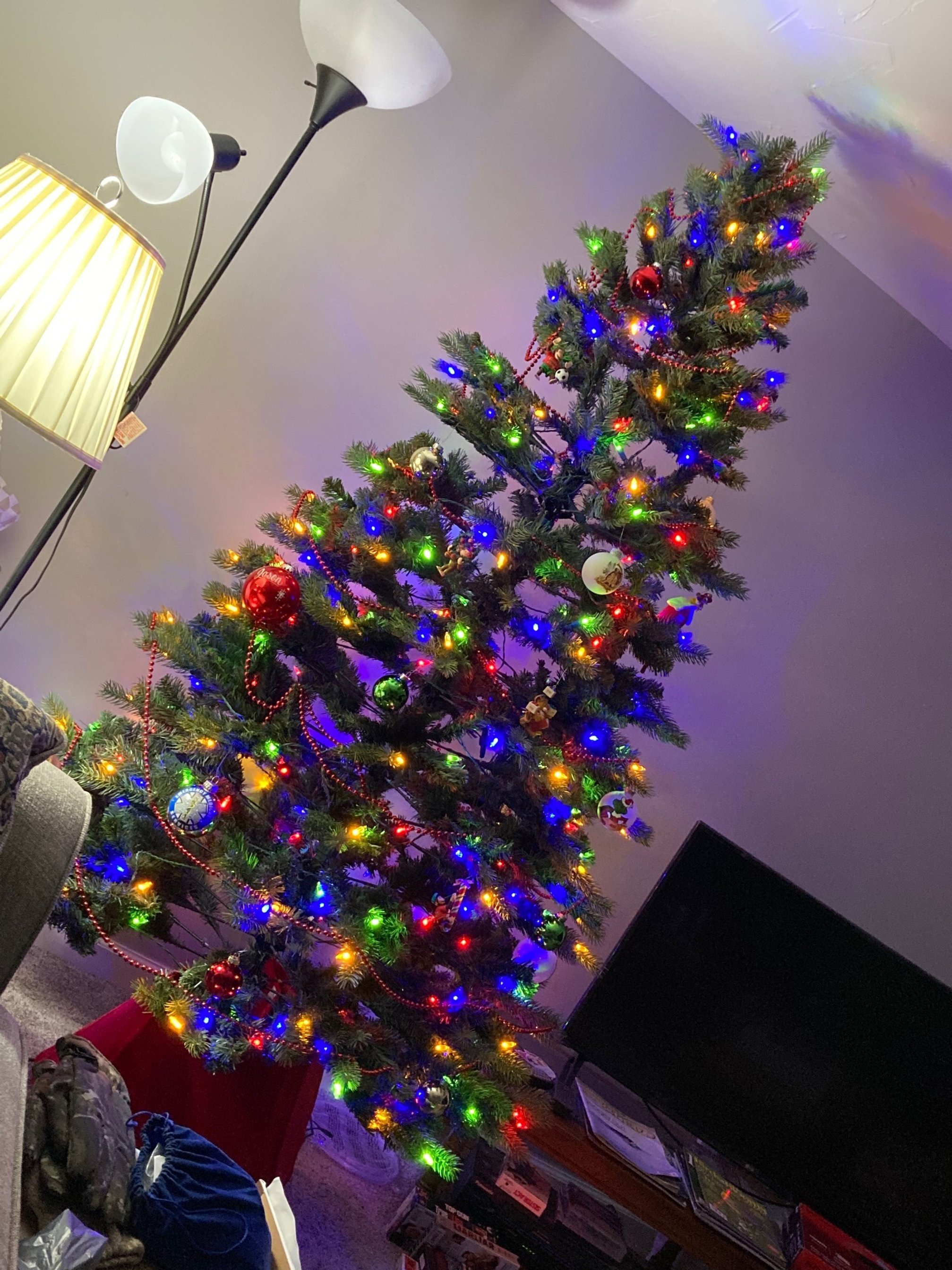 First tree in 15 years