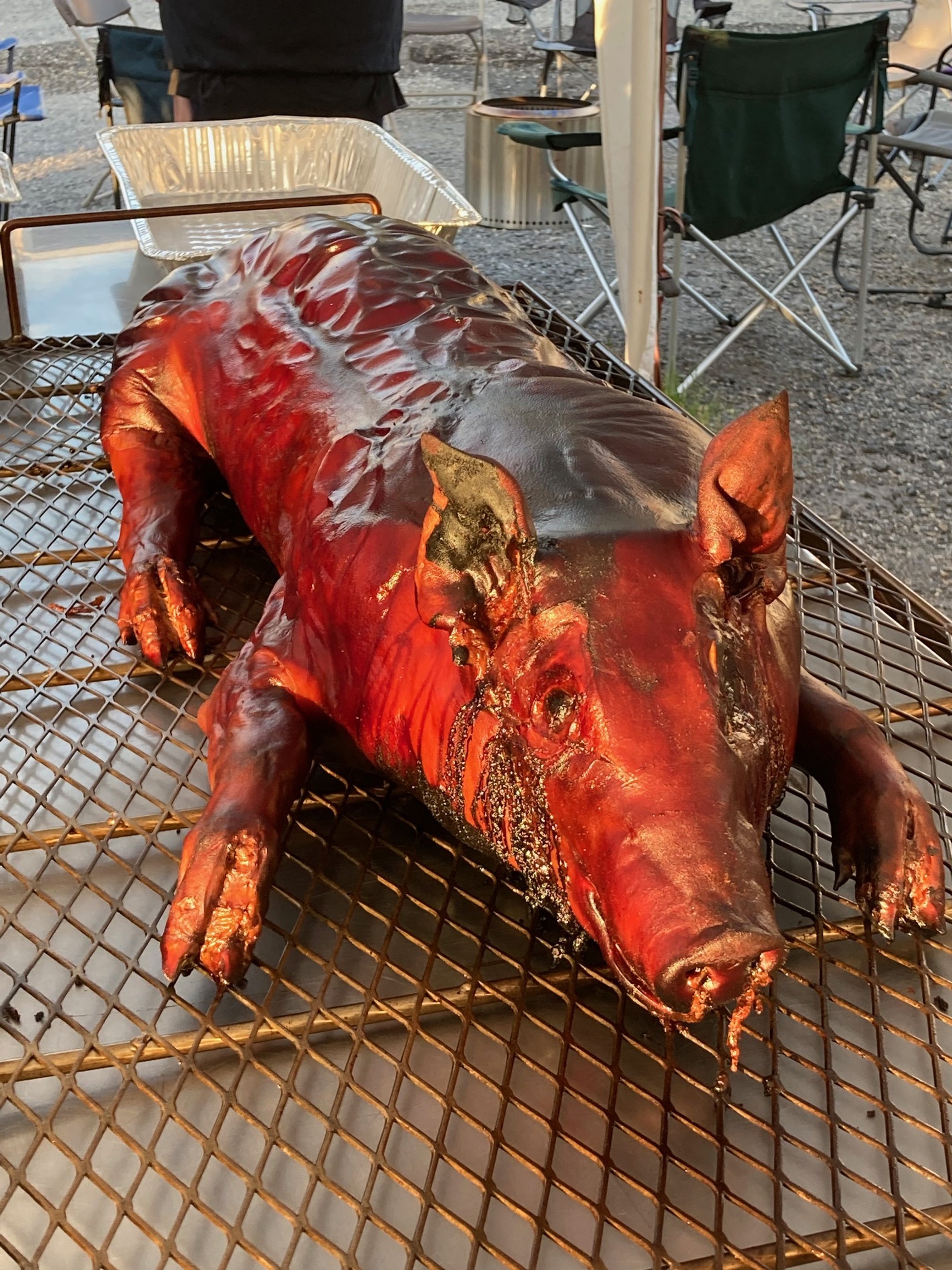 Finished hog