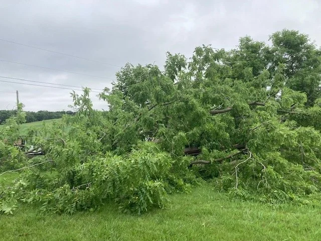 Totally different view now