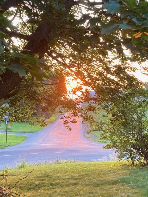 Sunset before my trip home