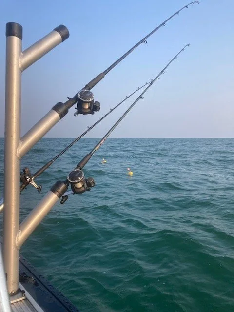 Here fishy fishy fishy