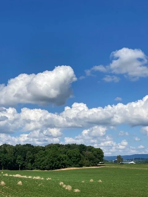 Morning before heading to DC