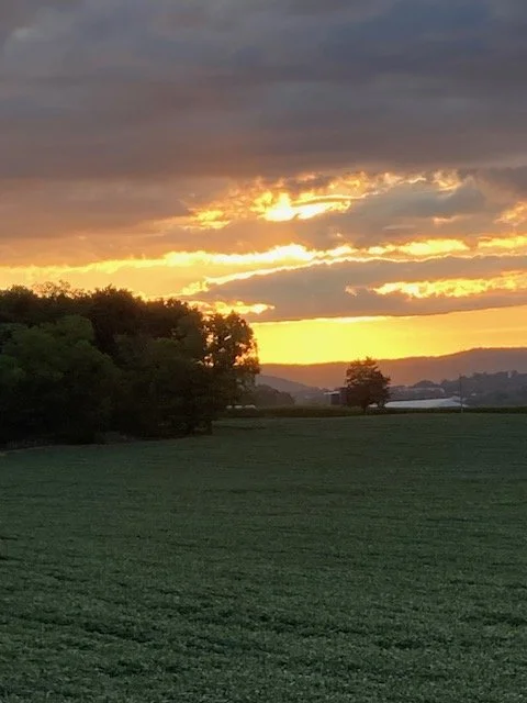 Sunrise over the farm