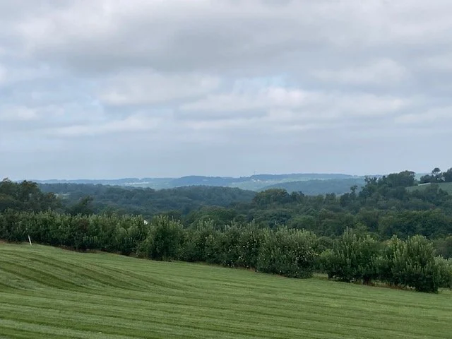 Country views