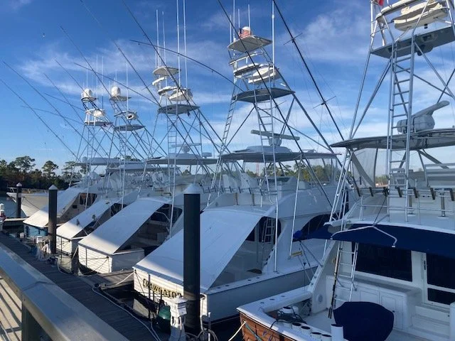 Lines of fishing boats