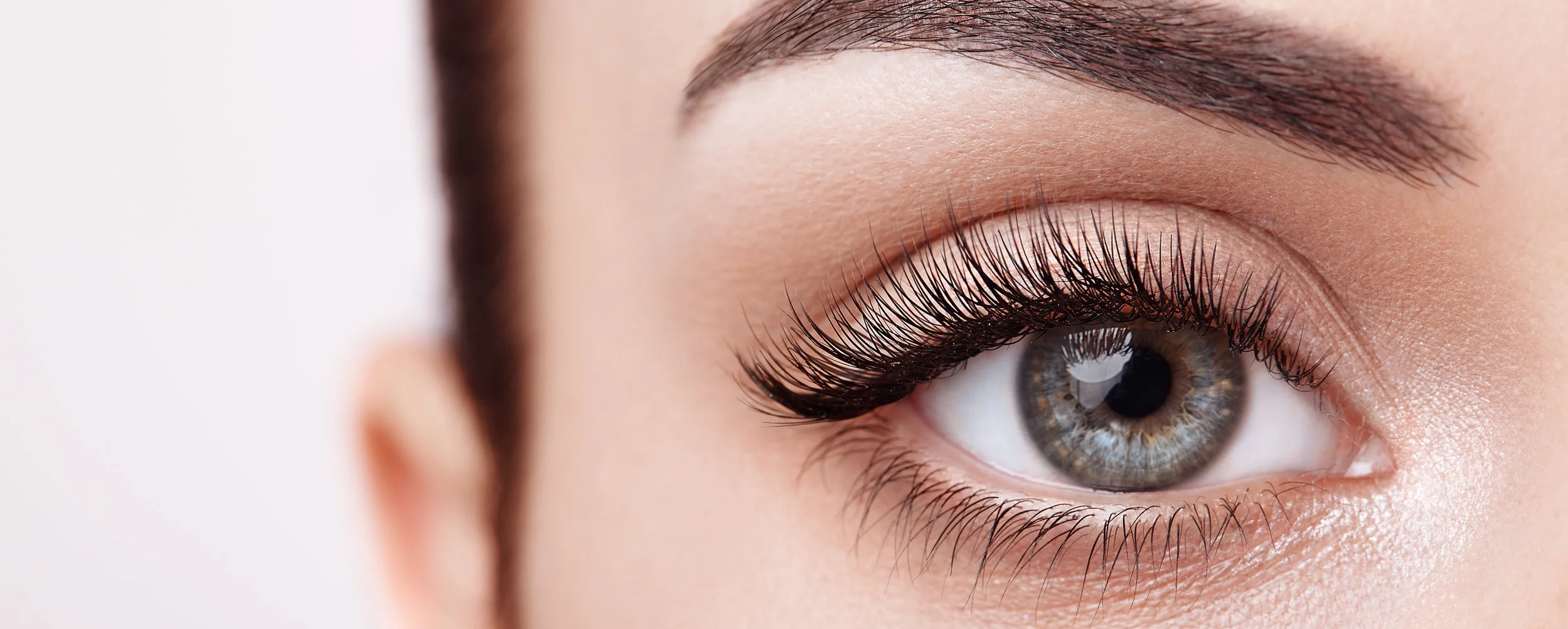 AdobeStock_233416698.jpg