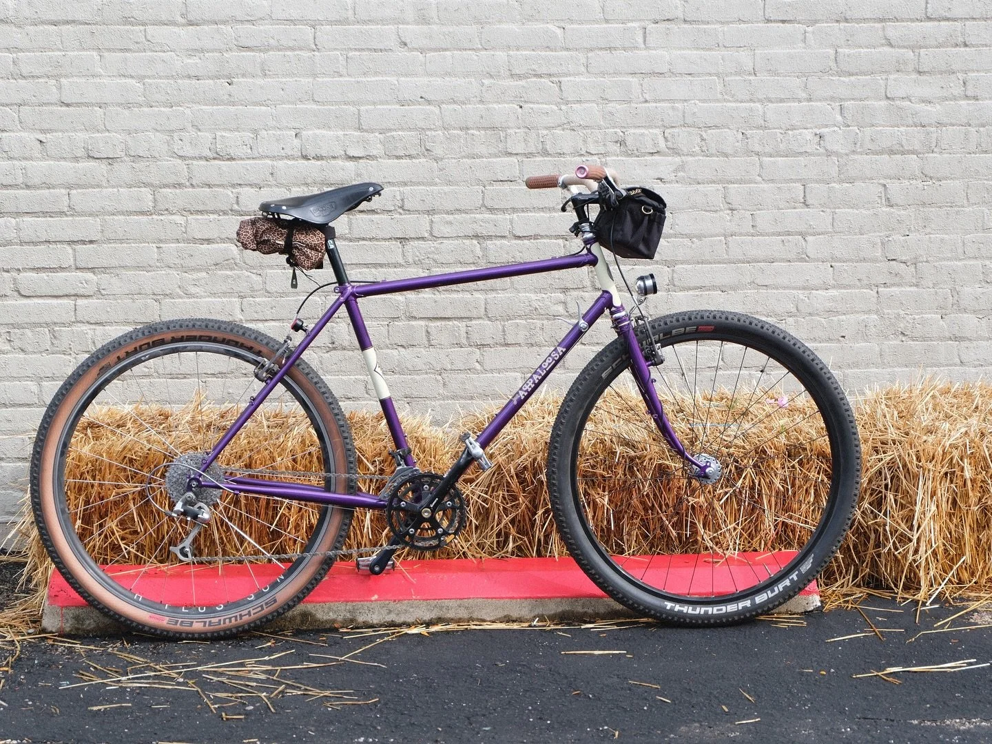 Couple recent builds this week. 

@rivbike Appaloosa and a lugged Roadini.

Both bike available for test ride and both bikes can be built to your desired spec!!