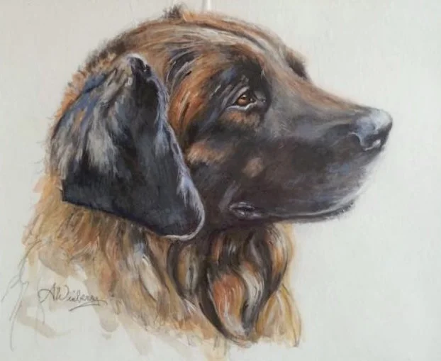 Working With Animals: A Pet Portrait Workshop - Alice Winberry