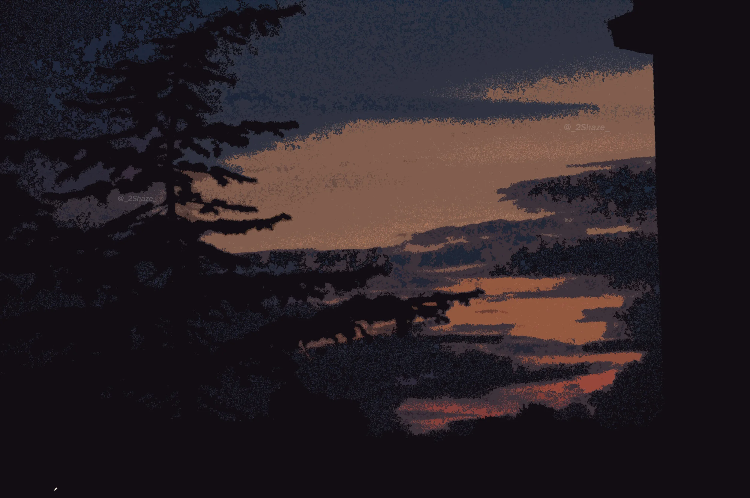SunsetPine1.jpg