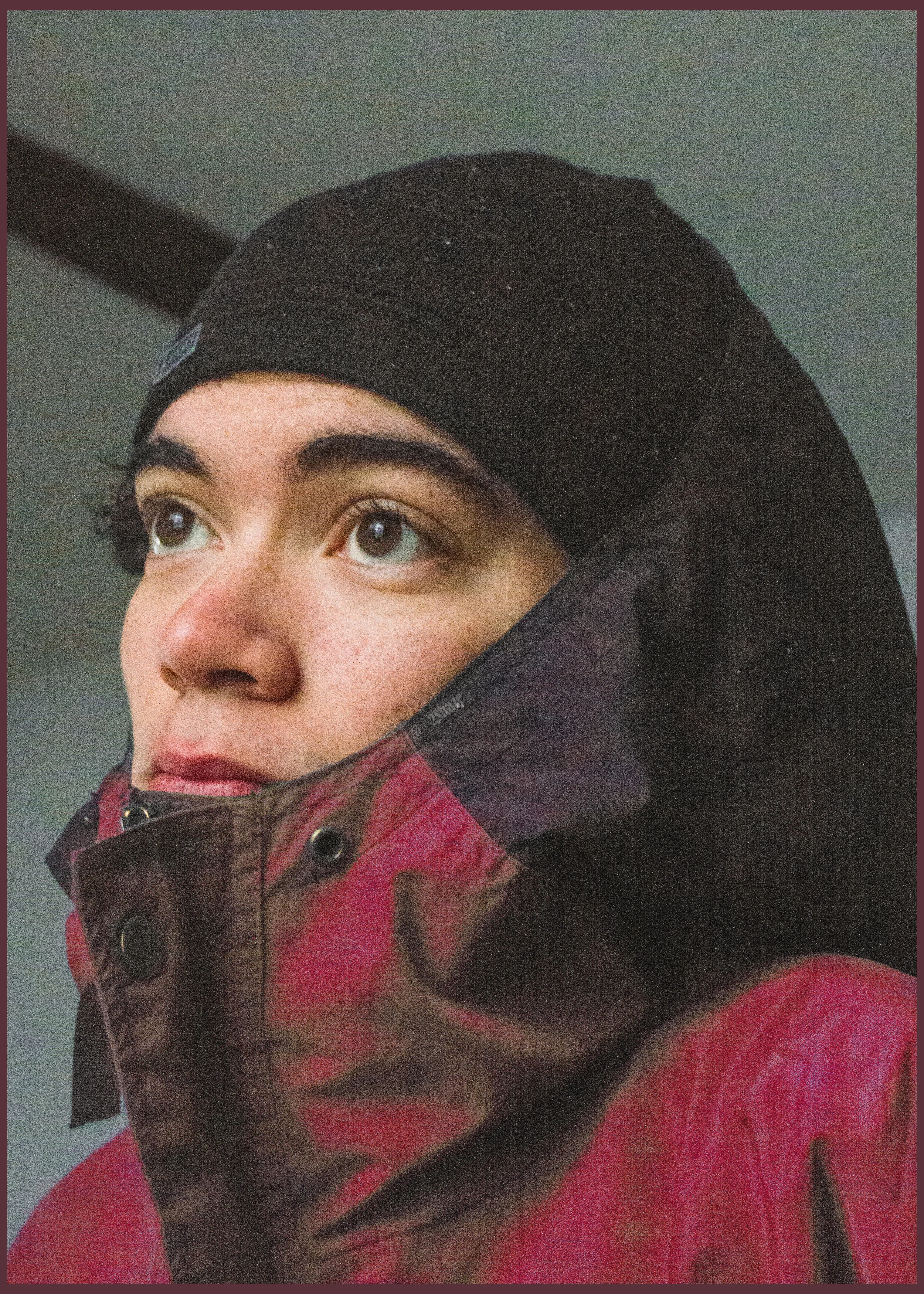 Mountaineer1.jpg