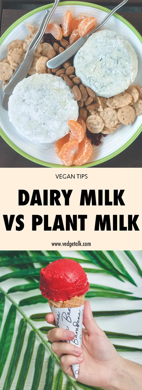 ANIMAL DAIRY VS PLANTS — THE VEDGETALK PODCAST