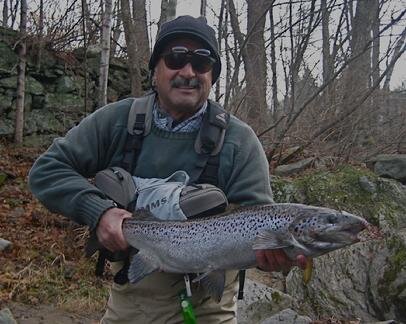Naugatuck River — Mianus Chapter of Trout Unlimited
