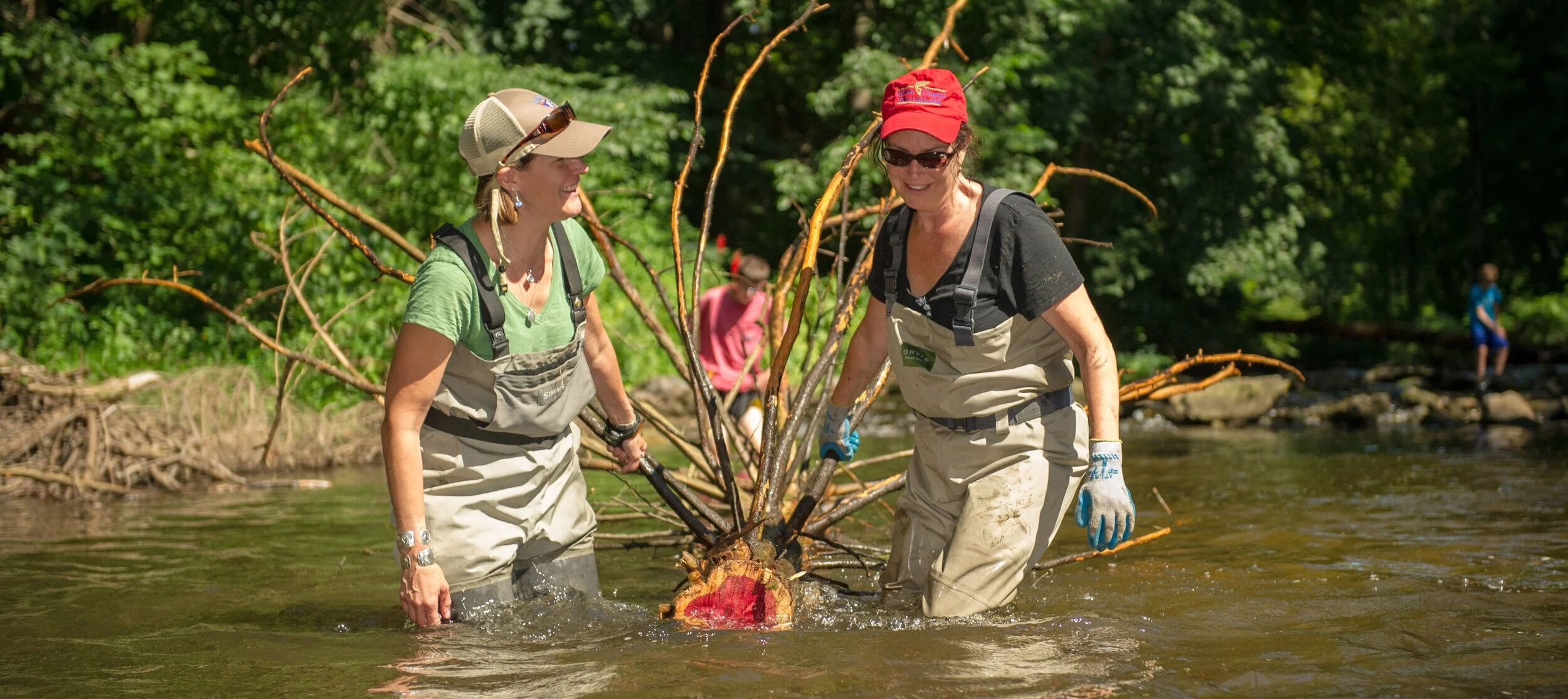 River Restoration — Mianus Chapter of Trout Unlimited