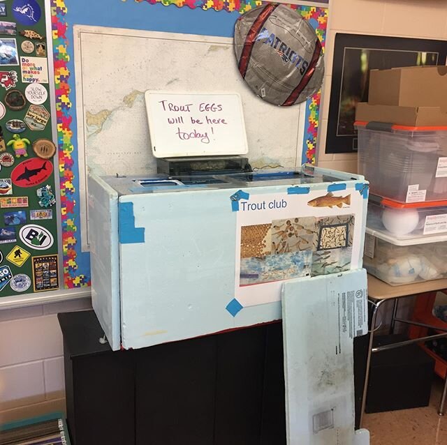 Trout in the Classroom time! We’re delivering trout eggs to the almost twenty tanks in classrooms all over Fairfield County. Eager students will be monitoring lifecycle of trout while learning about habitat and ecosystems.
Want to help? Wan