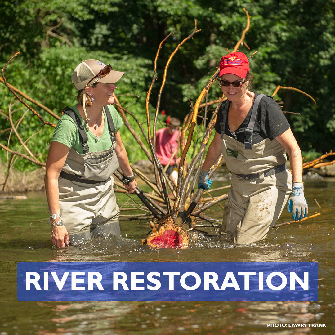 Mianus Chapter of Trout Unlimited
