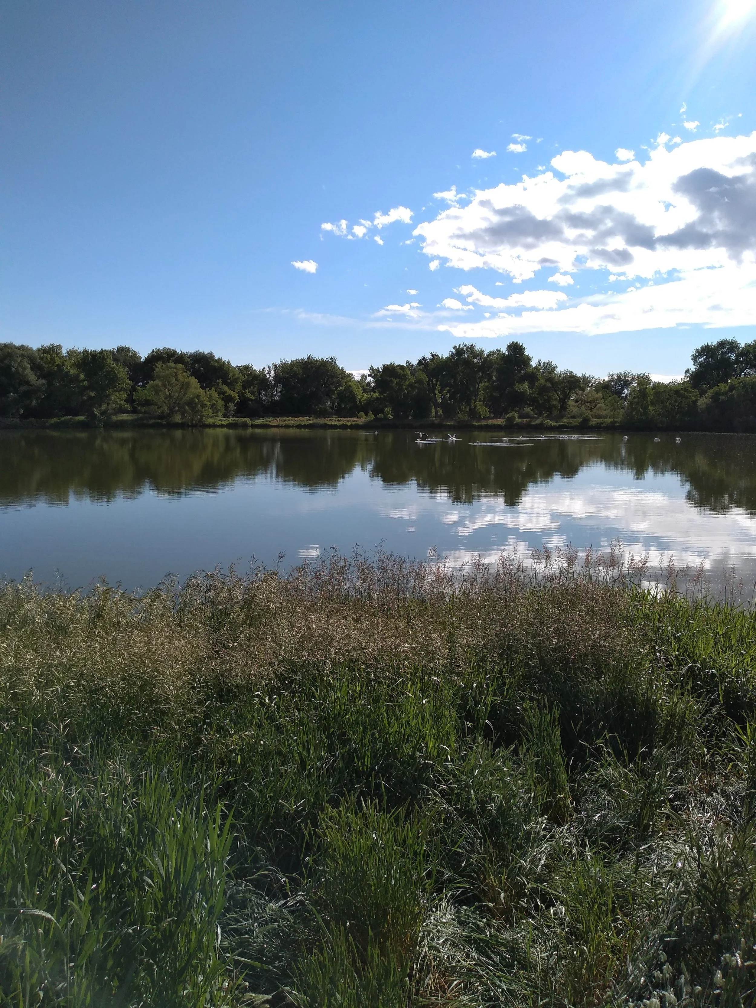 Day at the Lake 2026-7-22.jpg
