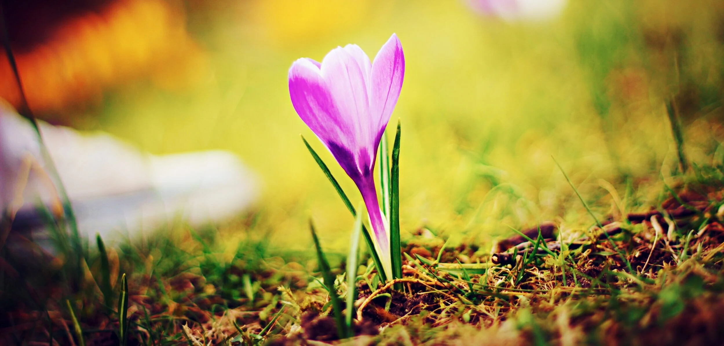 Spring into Alignment