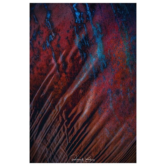 &quot;Patience&quot; / Traveler Collection⁠
Adopt the pace of nature: her secret is patience⁠
― Ralph Waldo Emerson⁠
.⁠
No two Traveler Palm stalks are identical, and when photographed with a macro lens, their distinct colored mineral crusts and mark