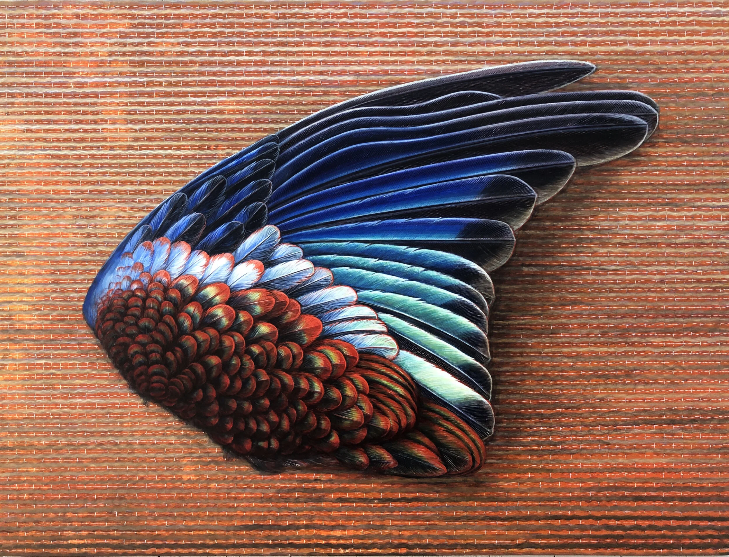 BirdWing.jpg