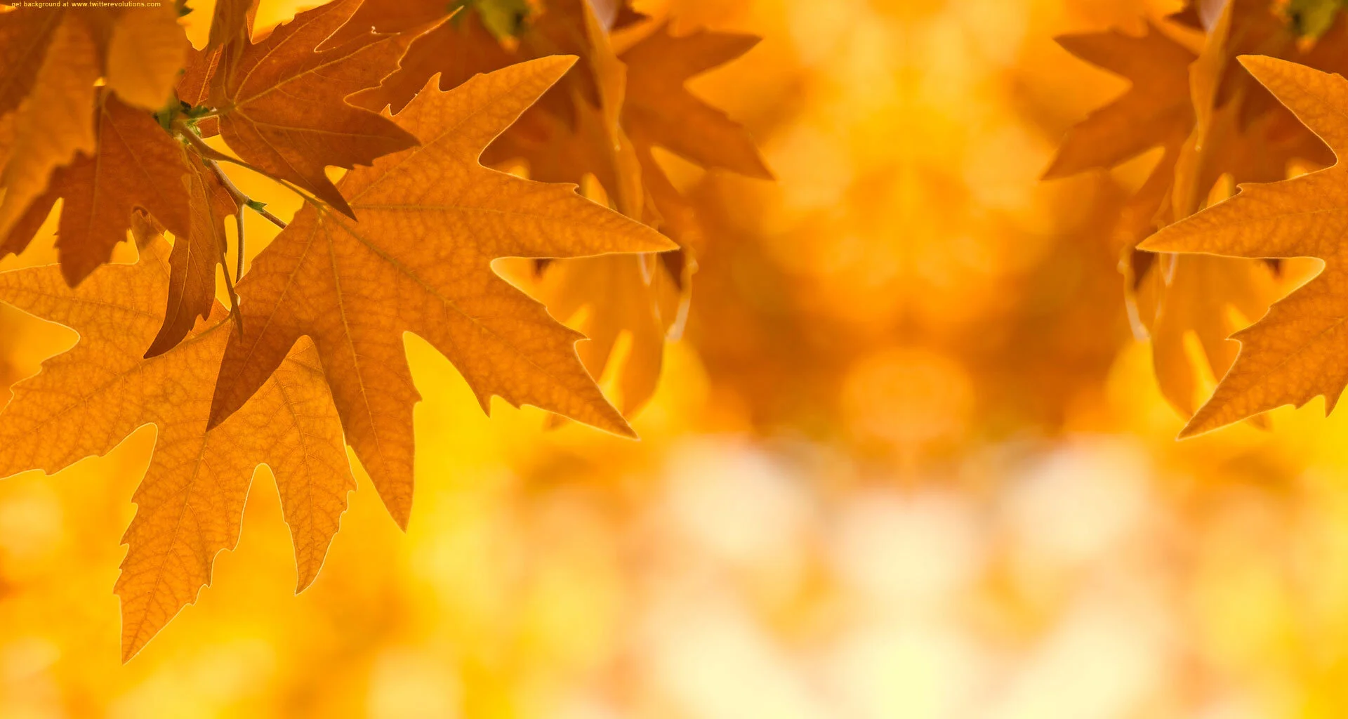 Heartland Presbyterian Women Fall Gathering
