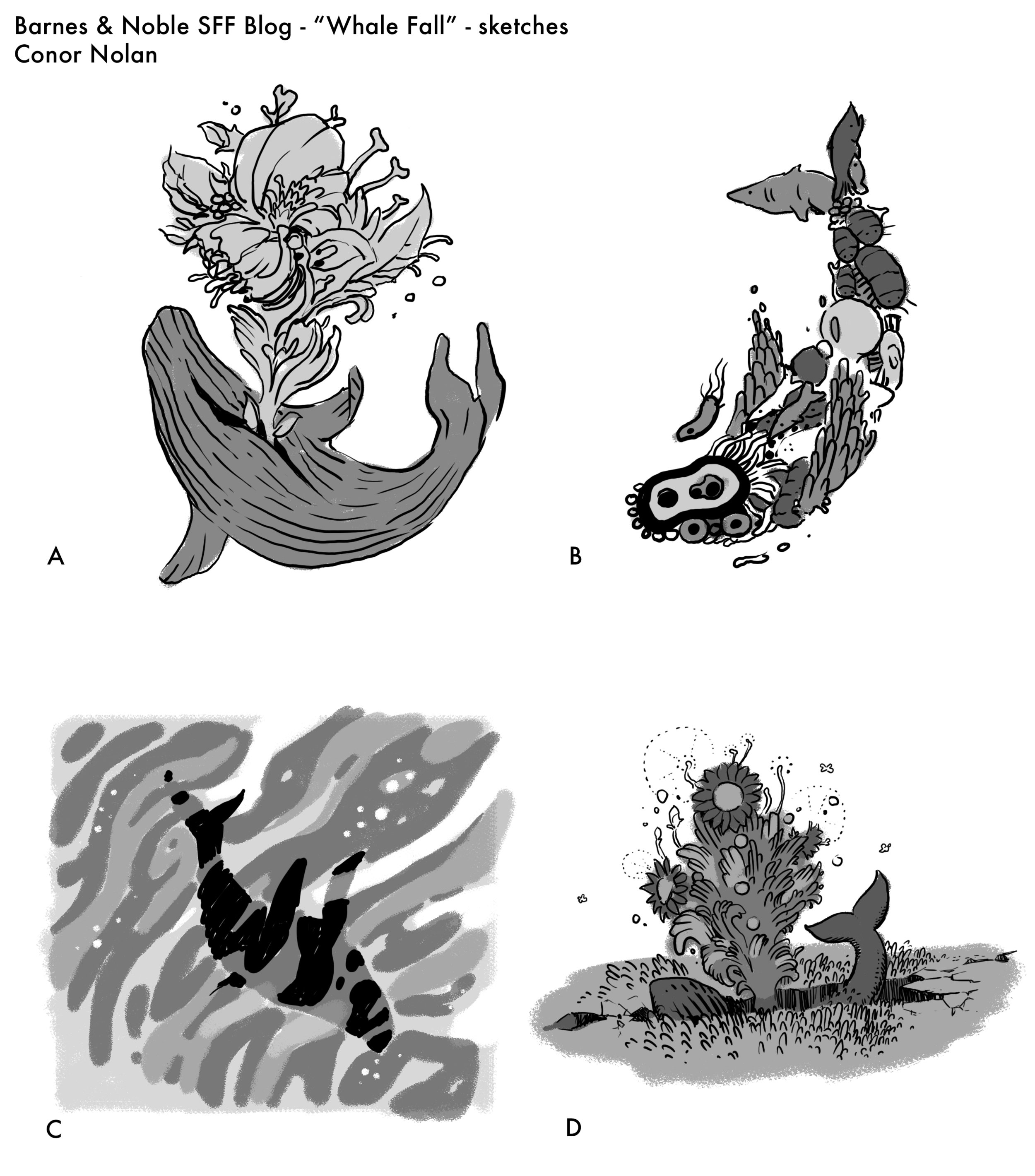 B&N_SFBlog__WhaleFall_sketches copy.jpg