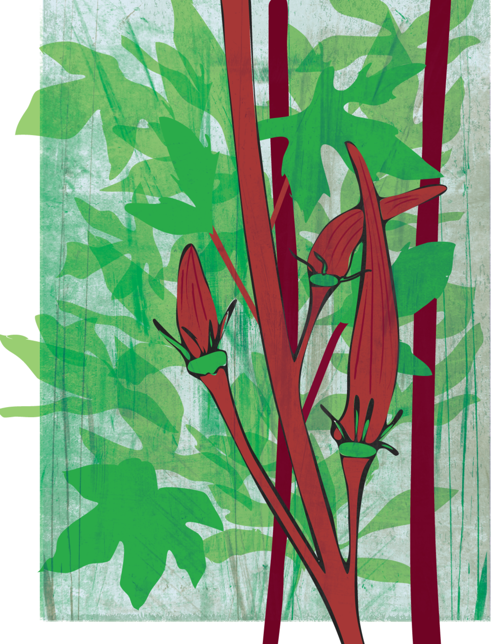 red burgundy katie walker.png