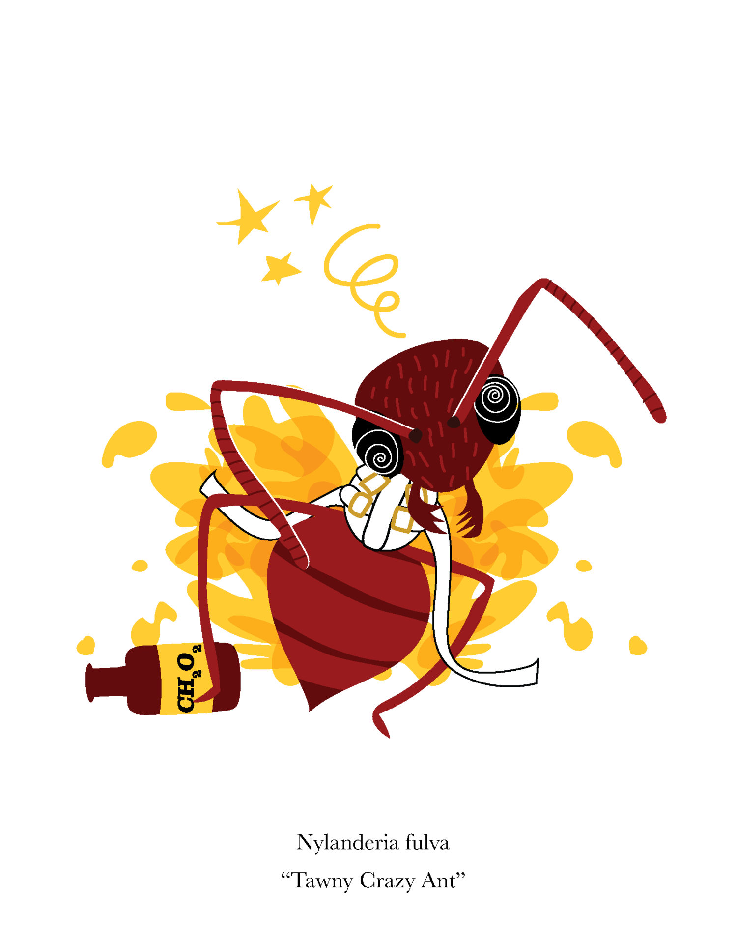 tawny crazy ant-01.png
