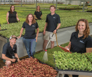 CAES Southscapes SPG18.gif