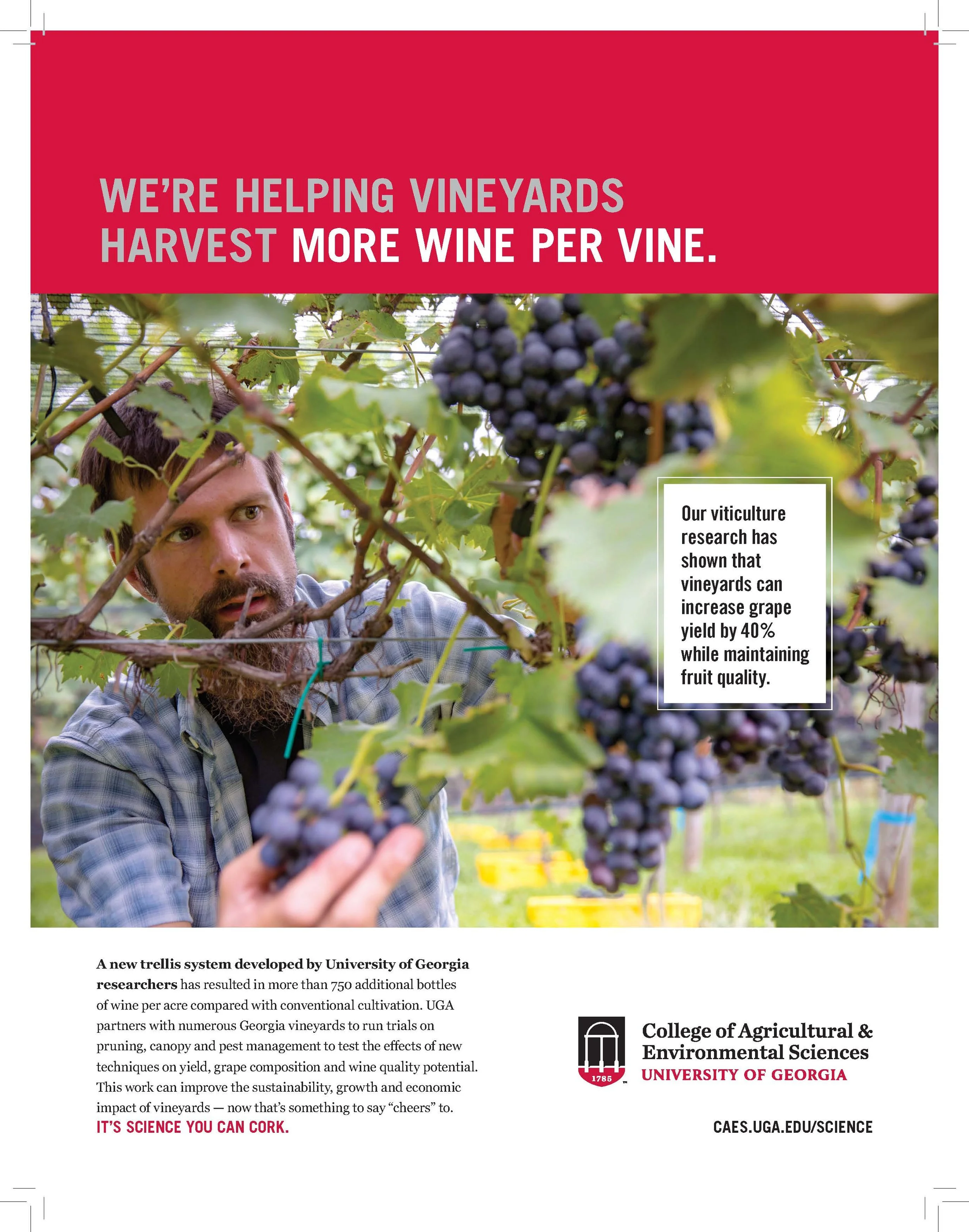 2019 Georgia Mag SYC viticulture.jpg
