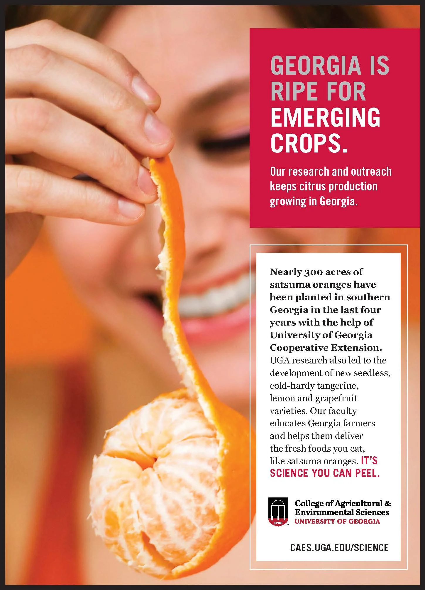 CAES satsuma ad.jpg