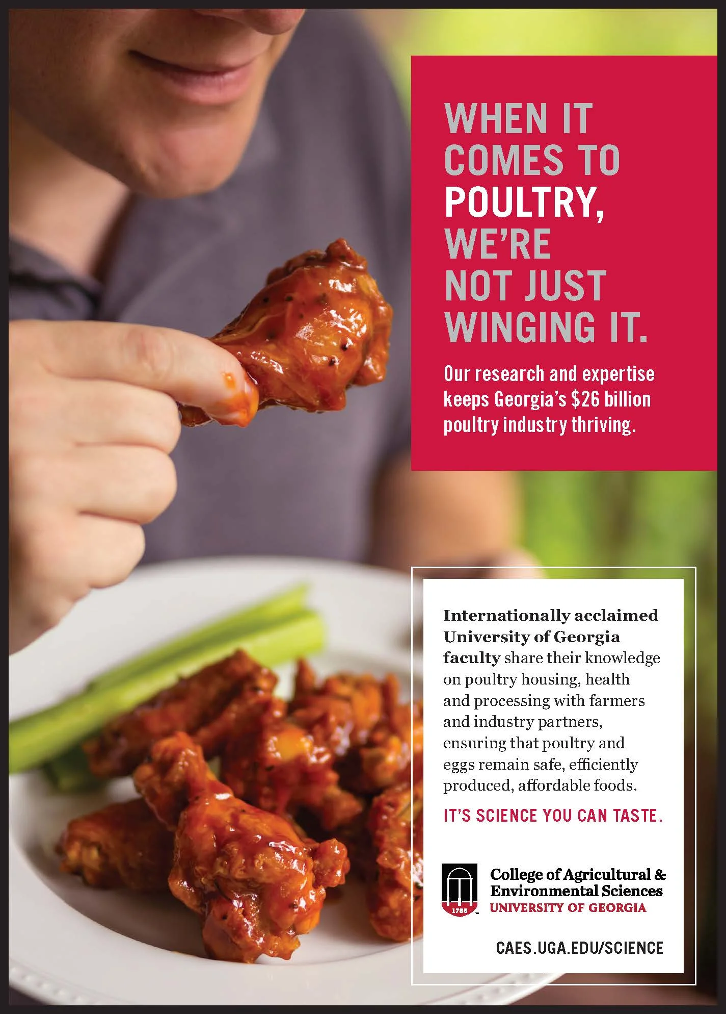 CAES UGA mag_rev 7 10 17 poultry.jpg