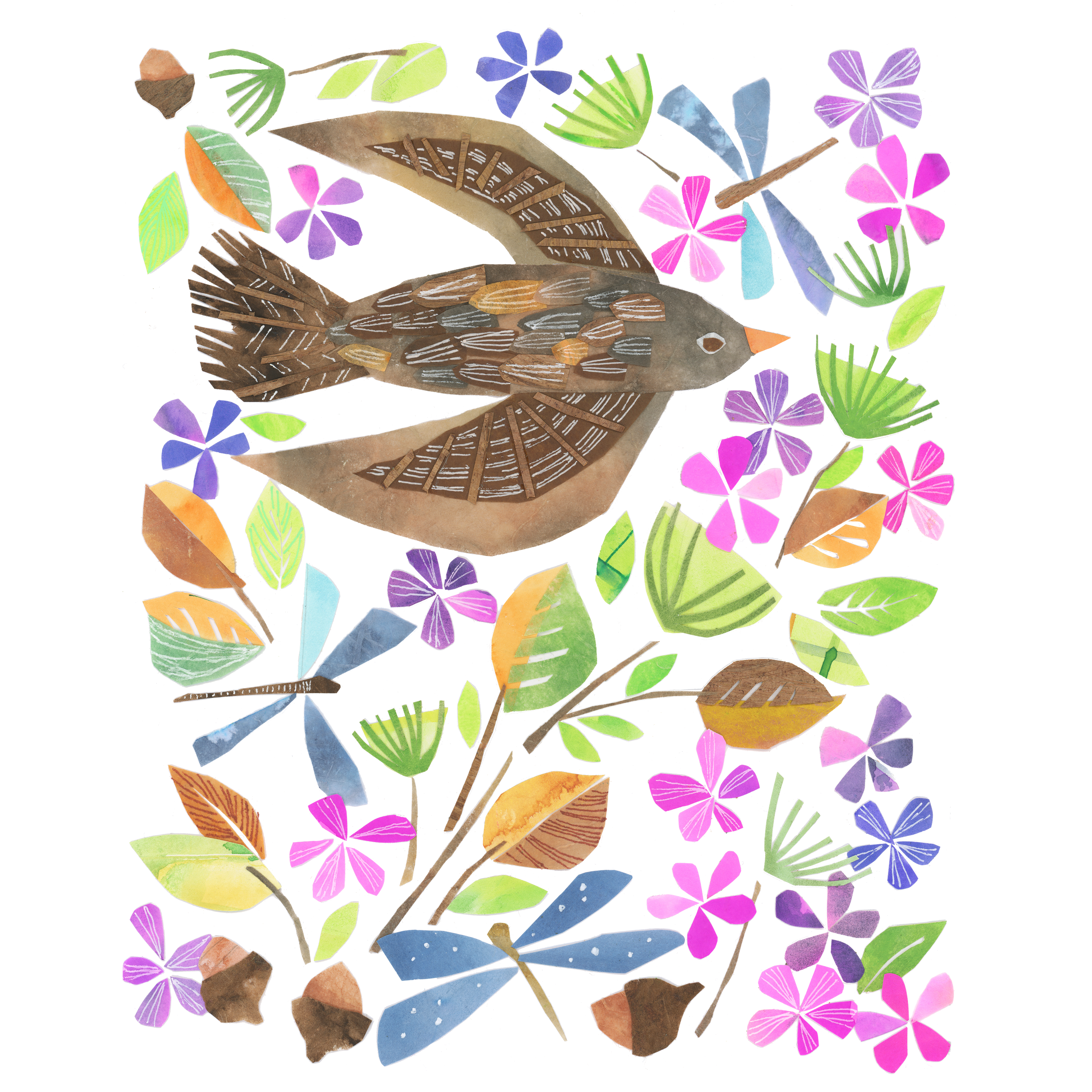 Brown Bird for website.png