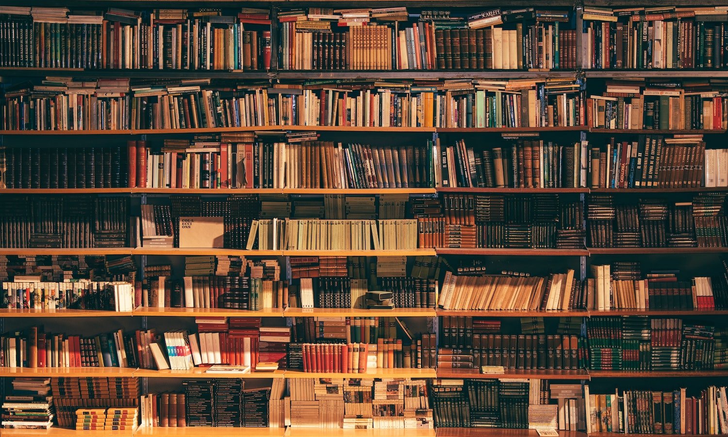 alfons-morales-YLSwjSy7stw-unsplash.jpeg