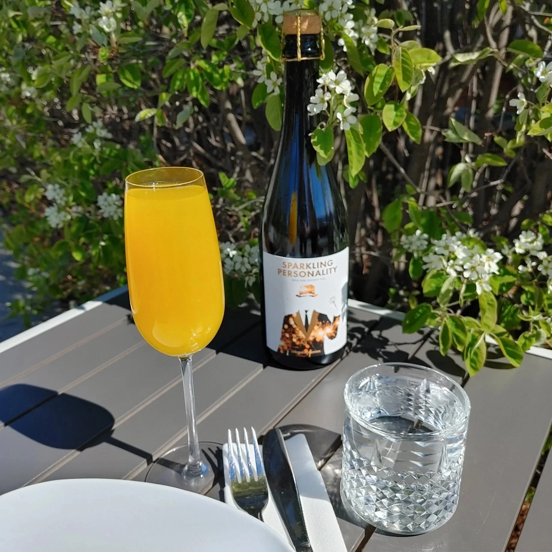 Revalee Mimosa - $11