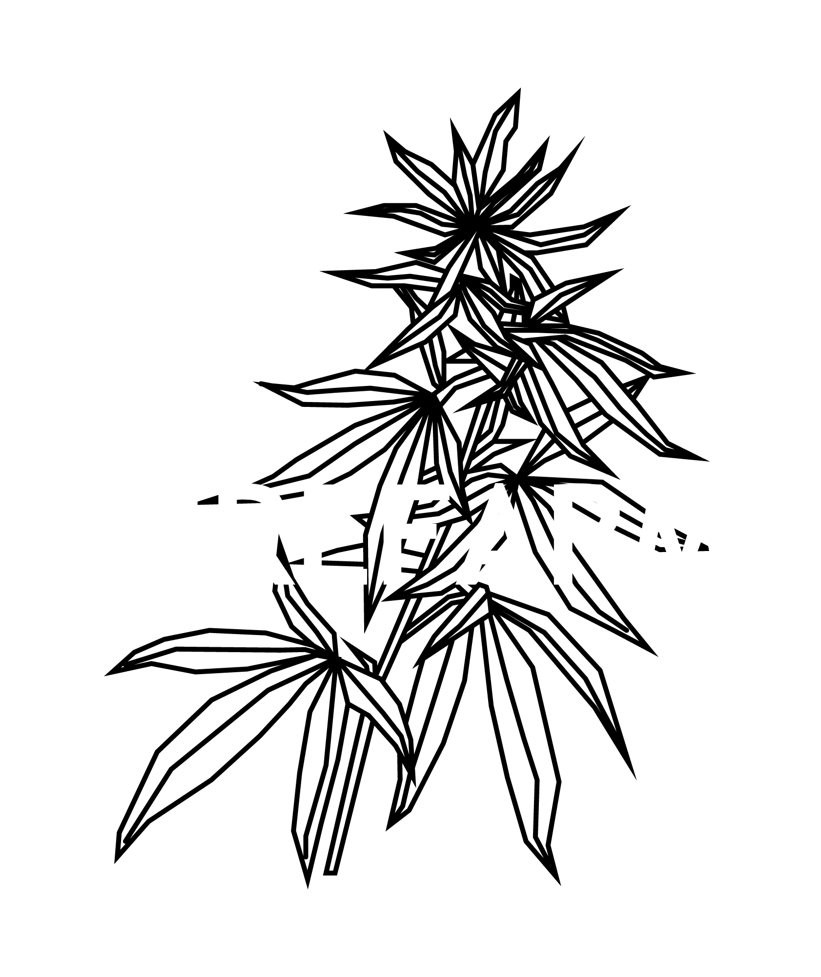 FIREFARM411
