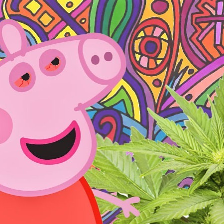 #marijuana grows naturally in #southasia Bhutan's #landscape. #cannabis has been widely available for the longest time, as an #appetite #stimulant, #pigs are feed marijuana so they can be fattened up. 🐷 🚨For more info, visit our link in bio.
It's a