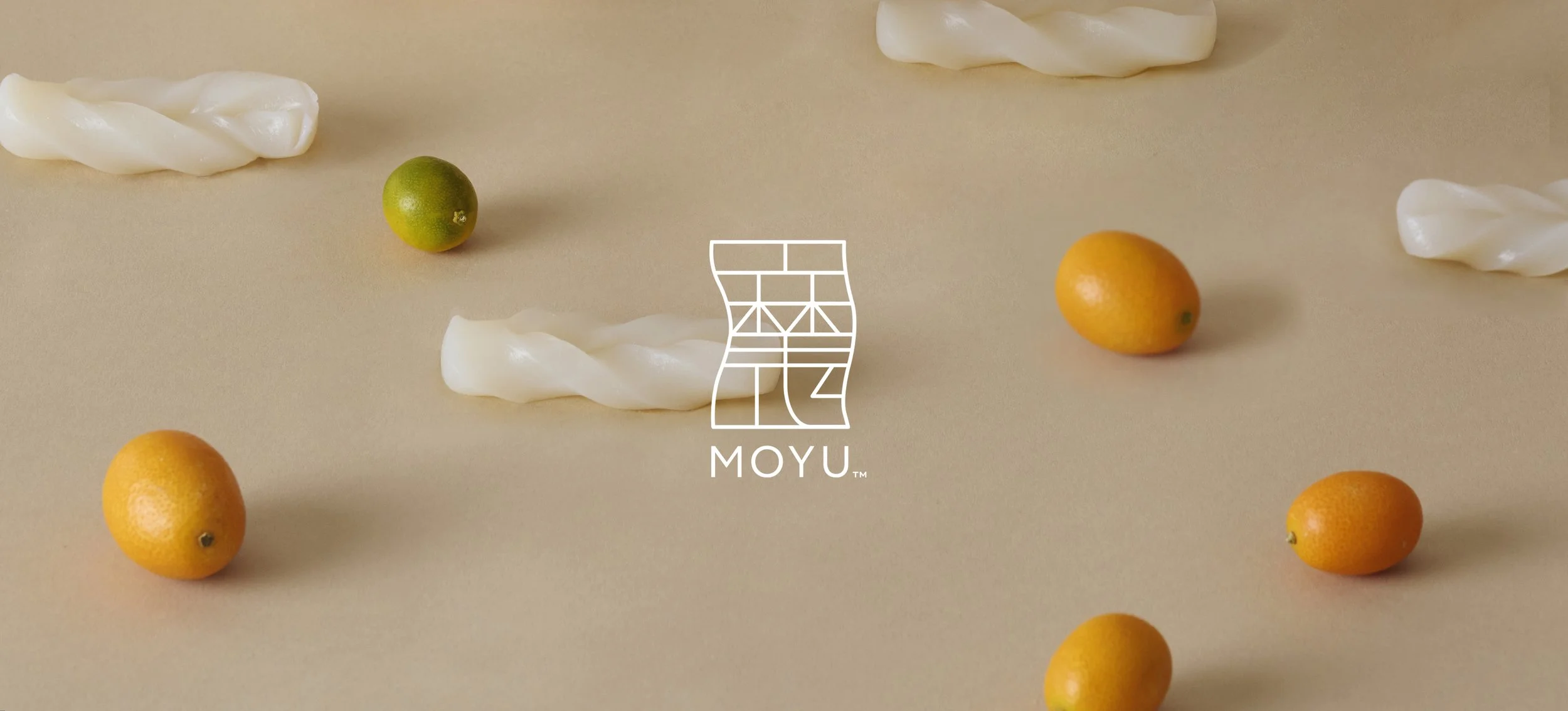 Main Visual_C_02 copy.jpg