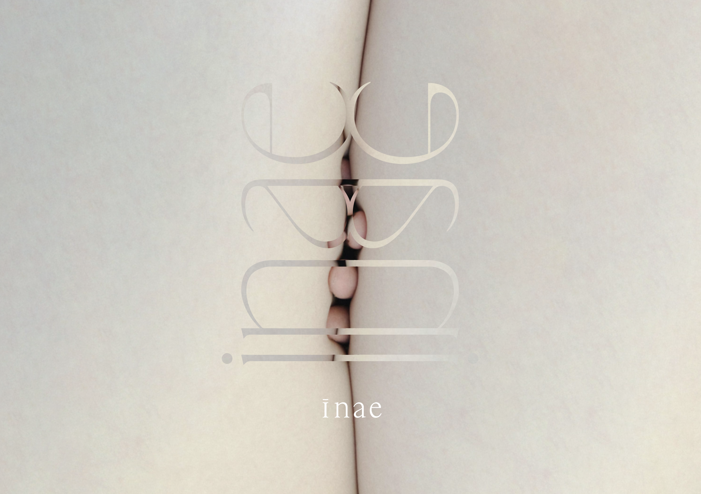 Screenshot 2025-04-02 at 9.53.18 PM.png