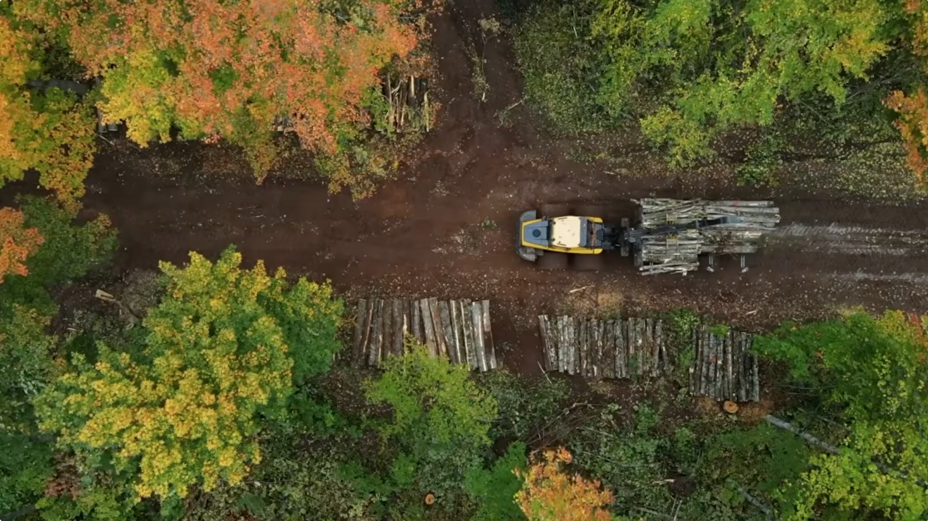 From the Woods to the Mill: How Rural-Built Tech is Modernizing the Timber Supply Chain