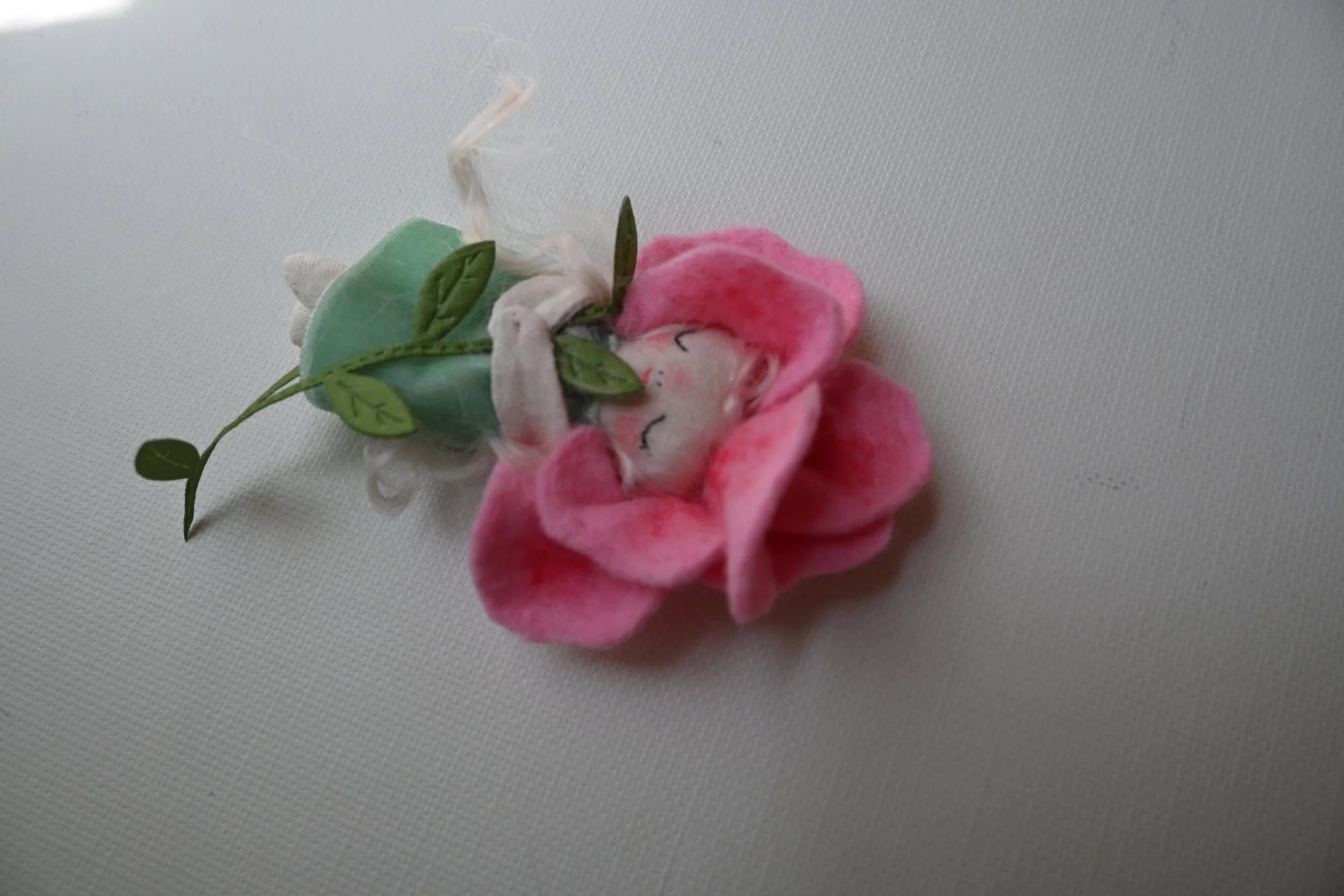 DSC_0730.JPG