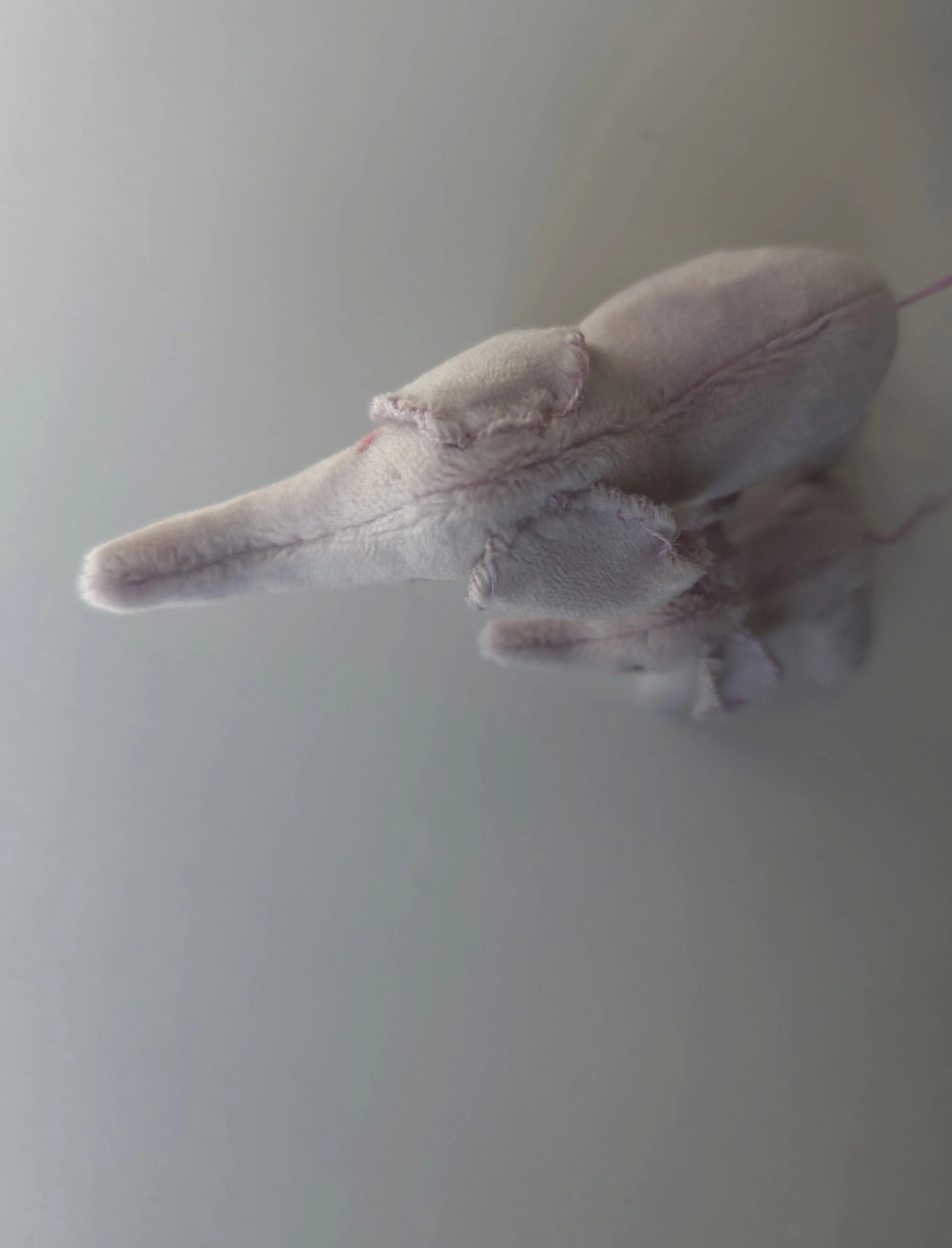 20261002_143506.jpg