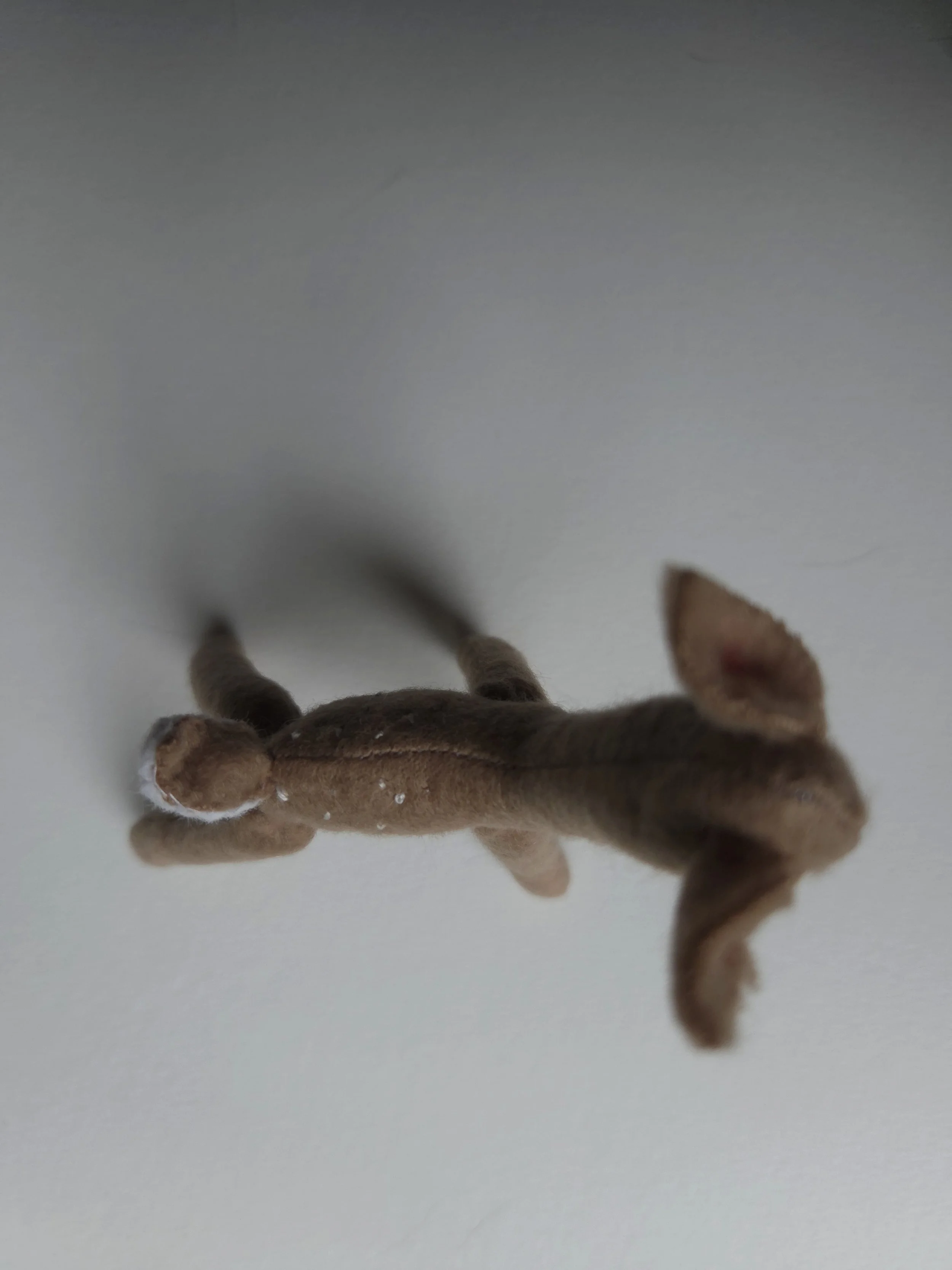 20260914_101518.jpg