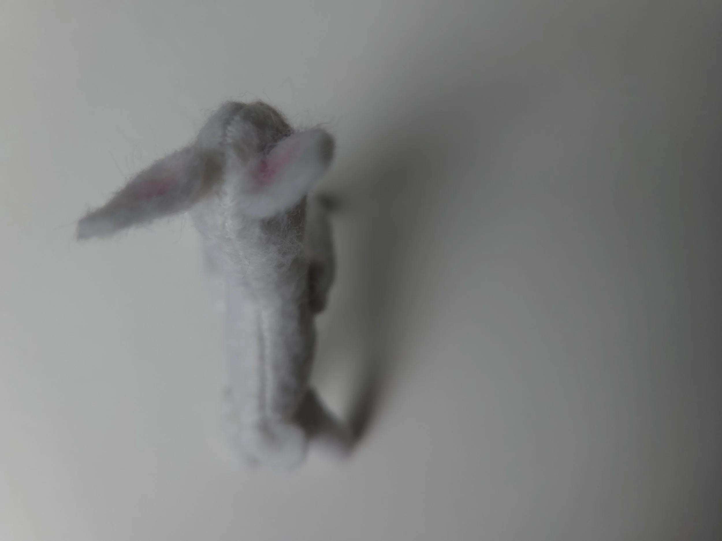 20260914_101556.jpg
