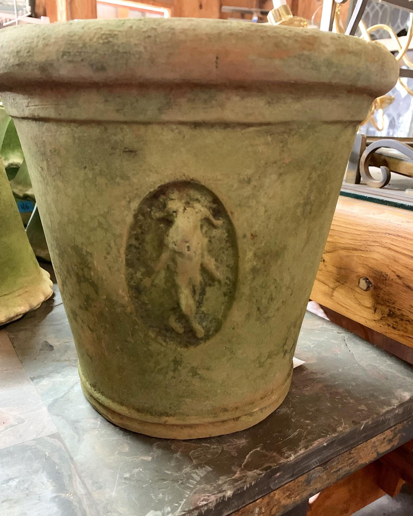 Love some good pots..,
These are beauties and we&rsquo;ve got lots in. Come check them out  #interiordesign #garden #gardendesign #design #planters #terracotta