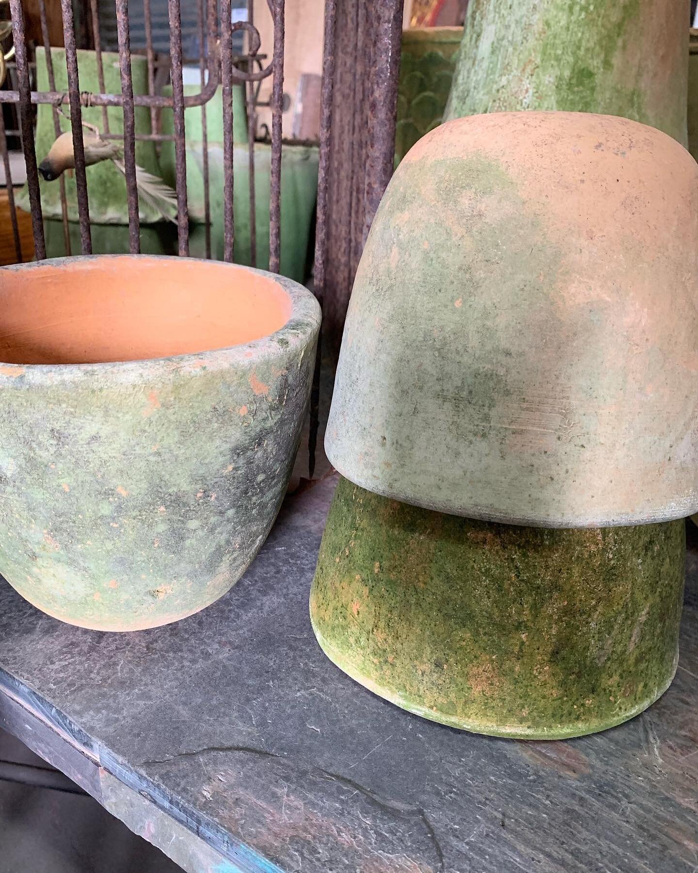 We&rsquo;ve got lots of cool planters and pots - come check them out tomorrow -  We are open Sat 9-5 #planters #garden #design #interiors #shoptampa