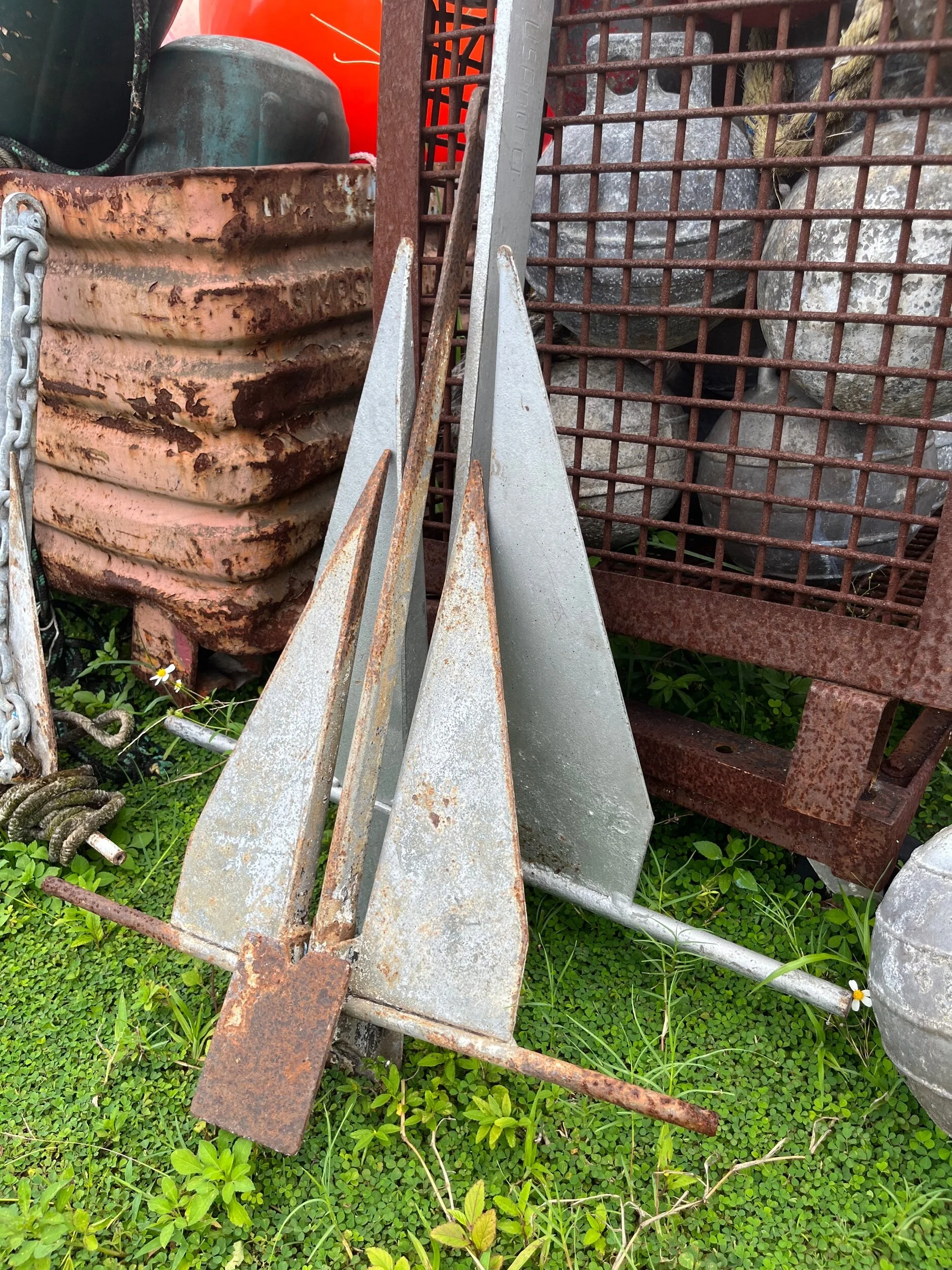 09298449-A94C-481F-9F7B-C3EC146EE5E2