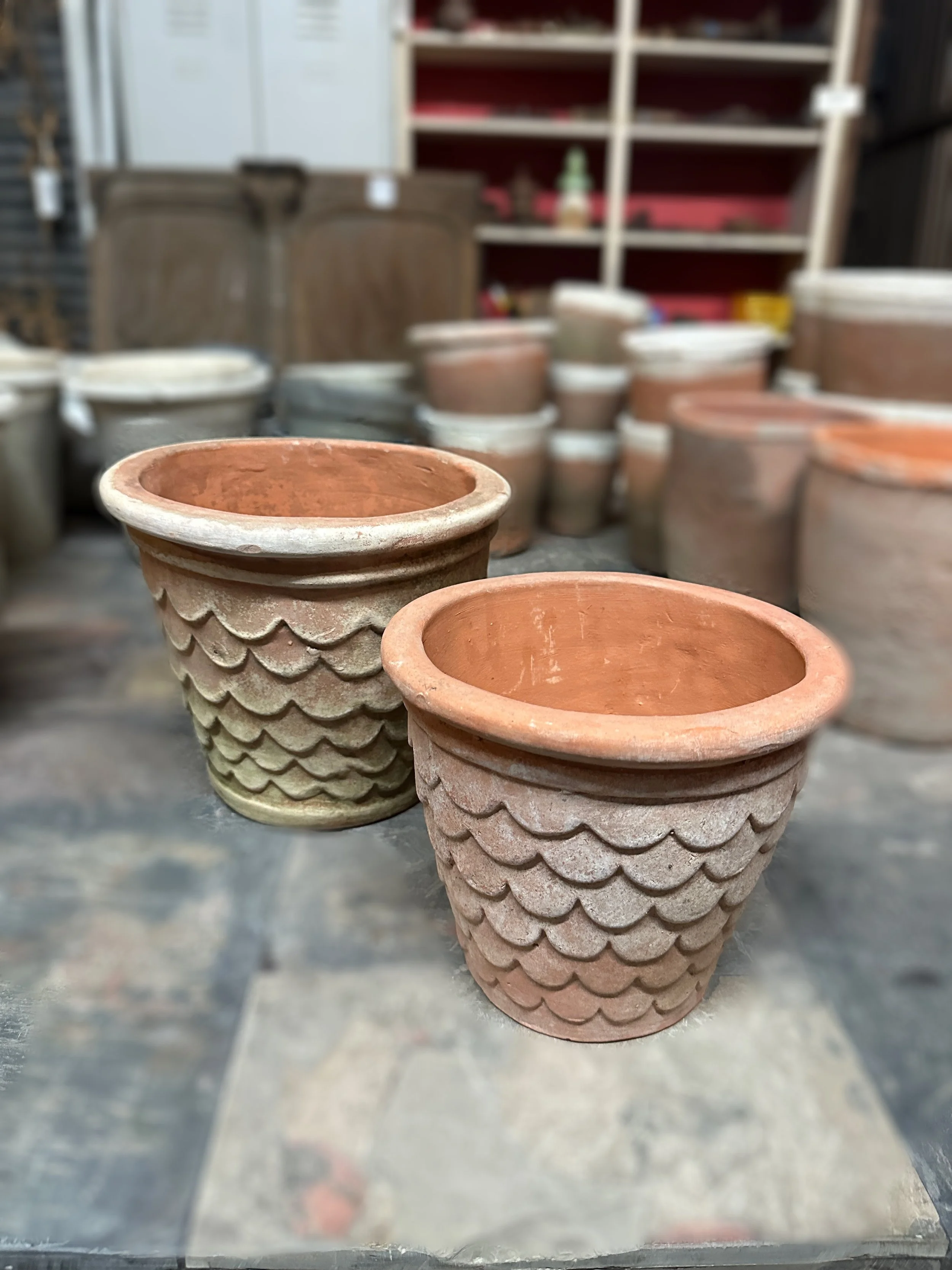 Scalloped Pots